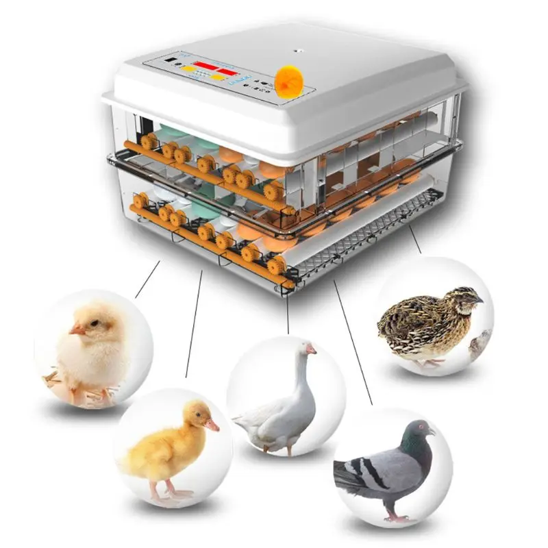 

220V Eggs Incubator Brooder Bird Quail Chick Hatchery Incubator Poultry Hatcher Turner Automatic Farm Incubation Tools EU/US