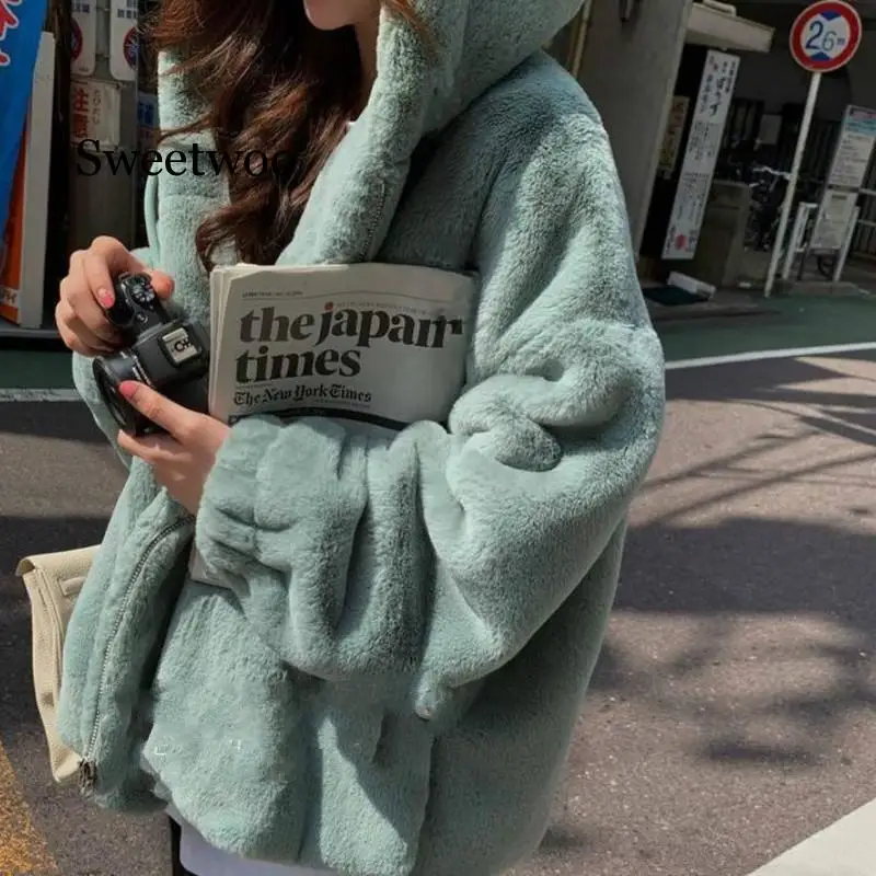 

Faux Fur Coat Winter Women Casual Fashion Hooded Slim Long Sleeve Faux Fox Fur Winter Jacket Women