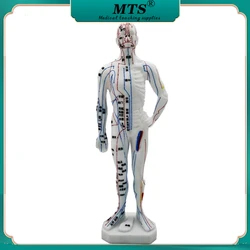 26cm Medical Chinese Medicine Meridians Acupuncture Moxibustion Model Acupuncture Point Mannequin Acupuncture Model