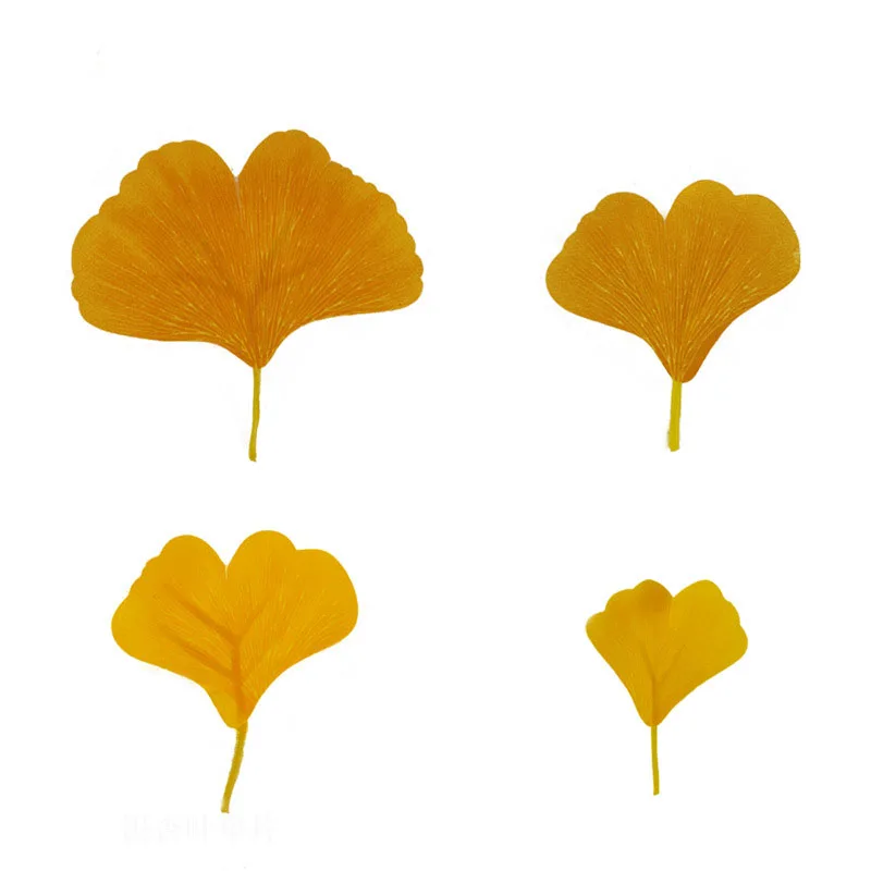 

36pcs Simulated plant Single Ginkgo Leaf Yellow Green Combination Wedding Site Atmosphere Layout Holiday Atmosphere Decoration