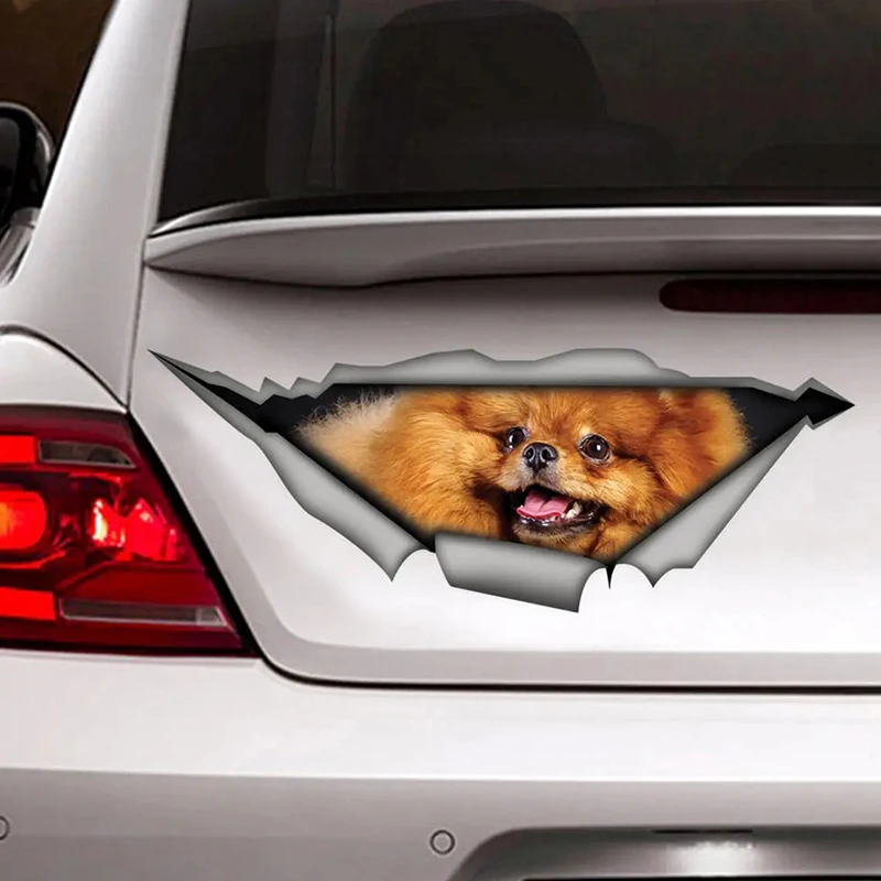 Pomeranian Dog Funny 3D Self-adhesive Decal Car Sticker Waterproof Auto Decors on Bumper Rear Window Laptop Choose Size #S60484