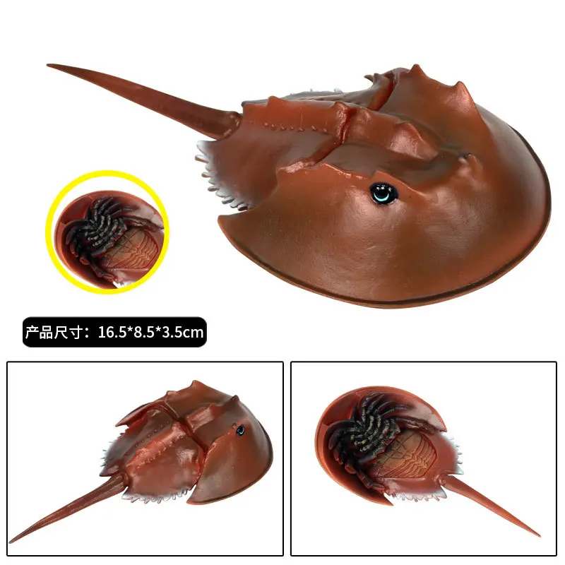 Action figure Sea Lifes Animals Models figurines Toys Simulation Hermit Crab Skate Horseshoe Octopus Sea Turtles Gift For Kids