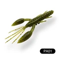PA01