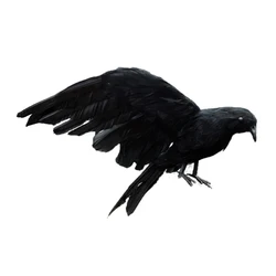 Halloween prop feathers Crow bird large 25x40cm spreading wings Black Crow toy model toy,Performance prop