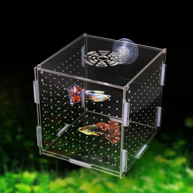 Aquarium Isolation Box Aquarium Kleine Braten Zucht Box Multifunktionale Laichen Brut Zimmer Aquarium Zubehör Fisch Supplie – Detail 2