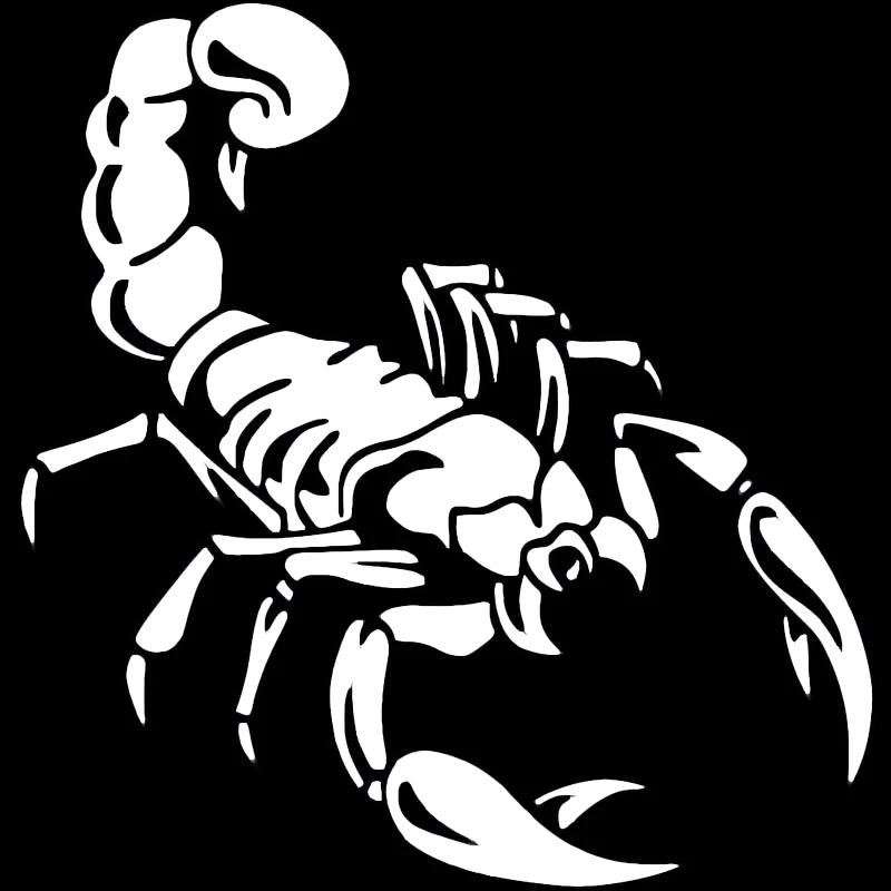 Funny Cute 3D Scorpion Car Sticker Automobiles Motorcycles Exterior Accessories Vinyl Decals for Honda Lada Bmw Audi Jeep Boat