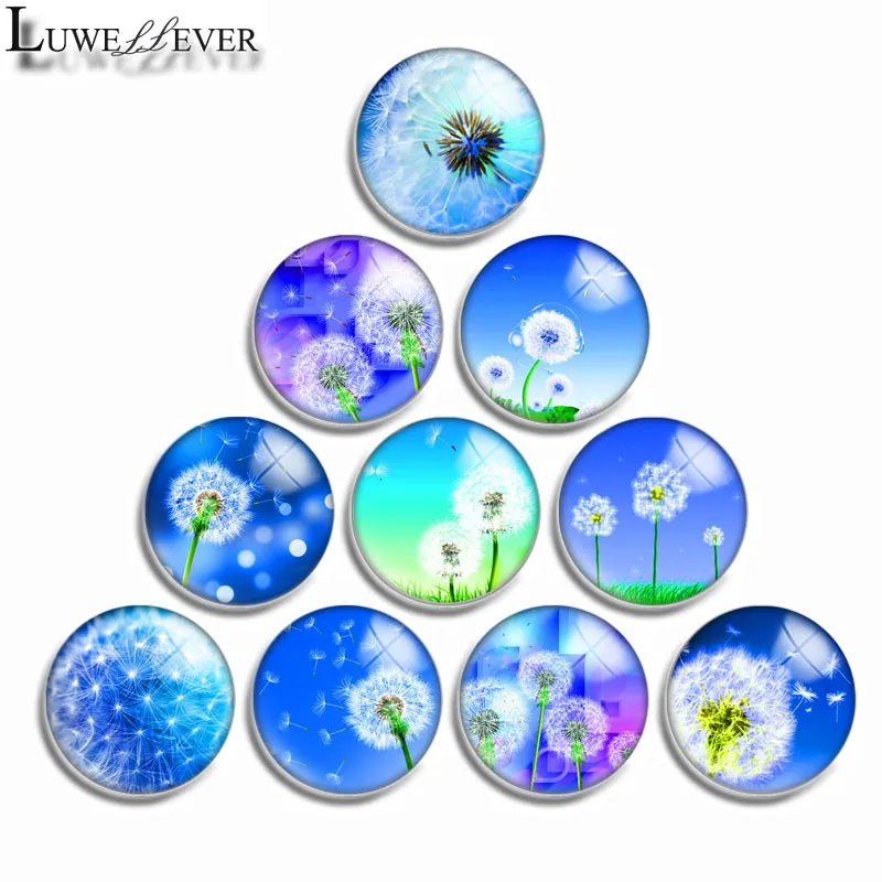 10mm 12mm 16mm 20mm 25mm 30mm 563 Dandelion Mix Round Glass Cabochon Jewelry Finding 18mm Snap Button Charm Bracelet