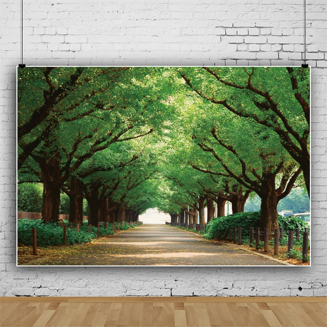 Yeele الربيع شجرة الأخضر يترك التصوير الفوتوغرافي المناظر الطبيعية خلفيات للتصوير الفوتوغرافي التصوير الخلفيات للصور استوديو الدعائم