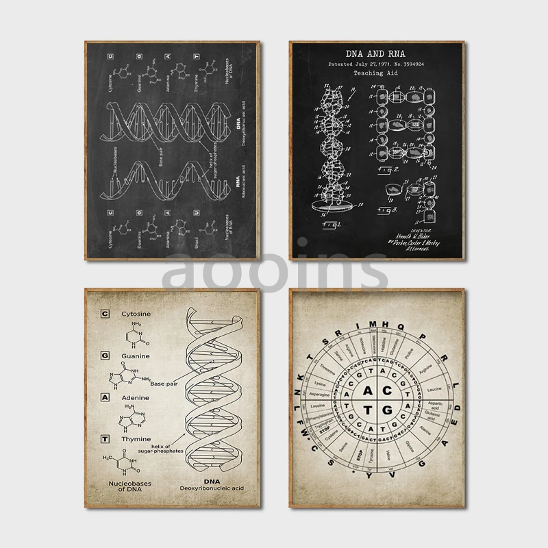 DNA Patent Wall Art Genetics Posters Print Biology Wall Decor Vintage Blueprint Prints Medical Student Gift Science Decorations view 3
