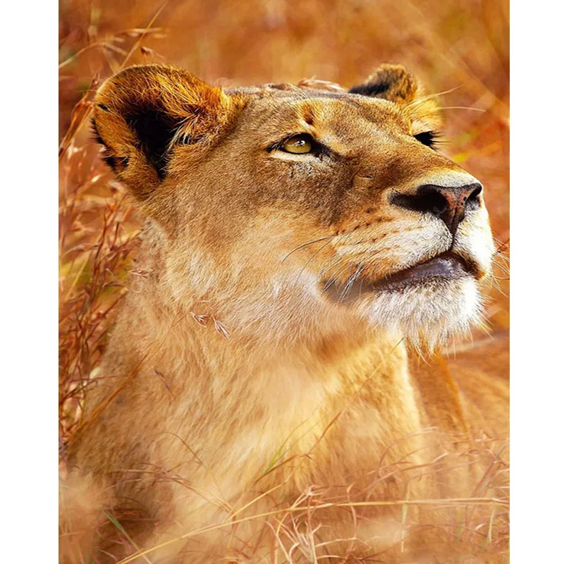 2020 Diy Diamond Embroidery Picture of Rhinestone Animal Lion Cross Stitch Kits Mosaic Handicrafts 5D Diamond PaintingZP-1509