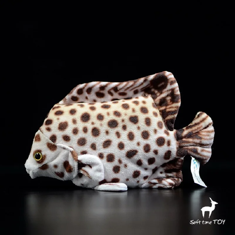 

simulation marine animal 20cm Spotted Scat fish Doll cute fish plush toy soft doll baby toy birthday gift h2230