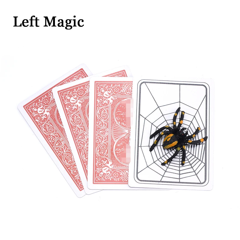 Spider And Net Magi… - image