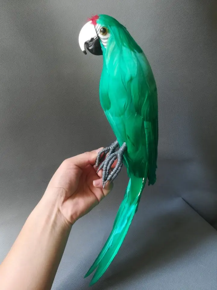 about 42cm lifelike toy parrot bird hard model foam&feathers green parrot handicraft party prop home garden decoration gift b24