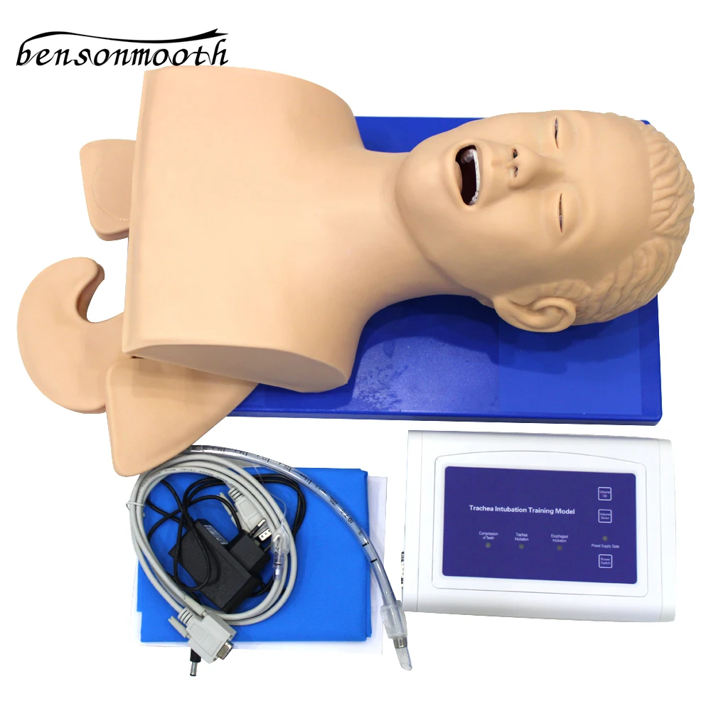 Intubation Manikin Study Teaching Model Airway Management Trainer PVC With Teeth