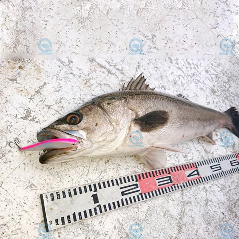 JAPAN Megabass X-80 MAGNUM+1 Sinking Max 2.8m Fishing Lure