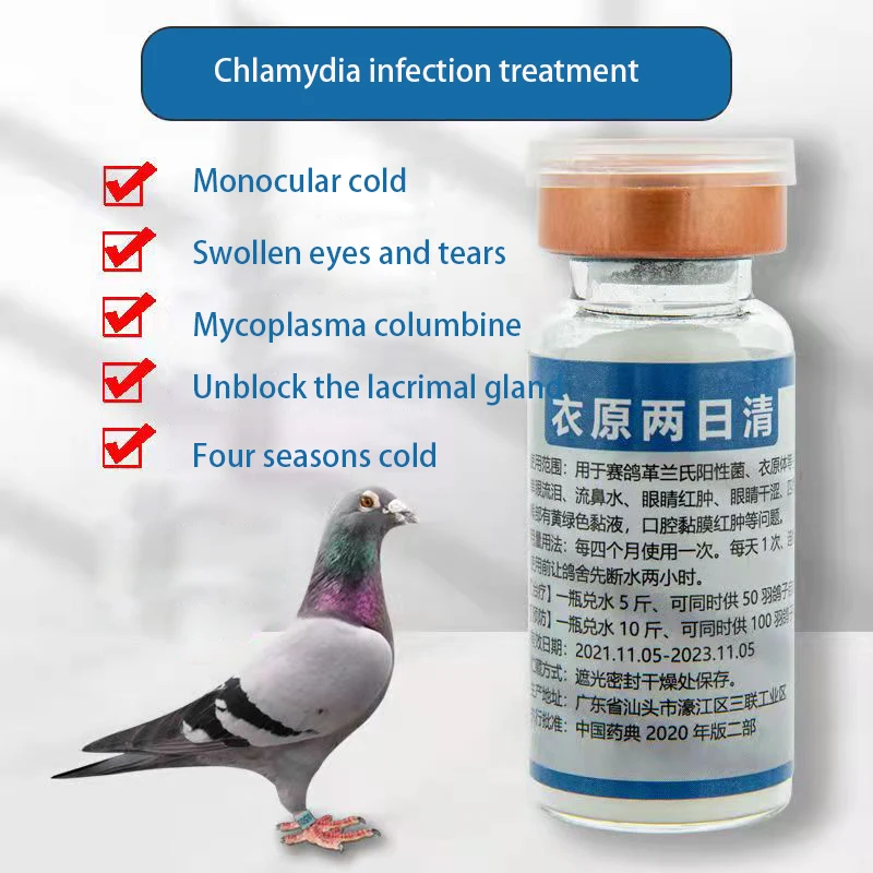 

Homing pigeon monocular chlamydia eyes swelling and tearing Mycoplasma infection cold nutrition supplement