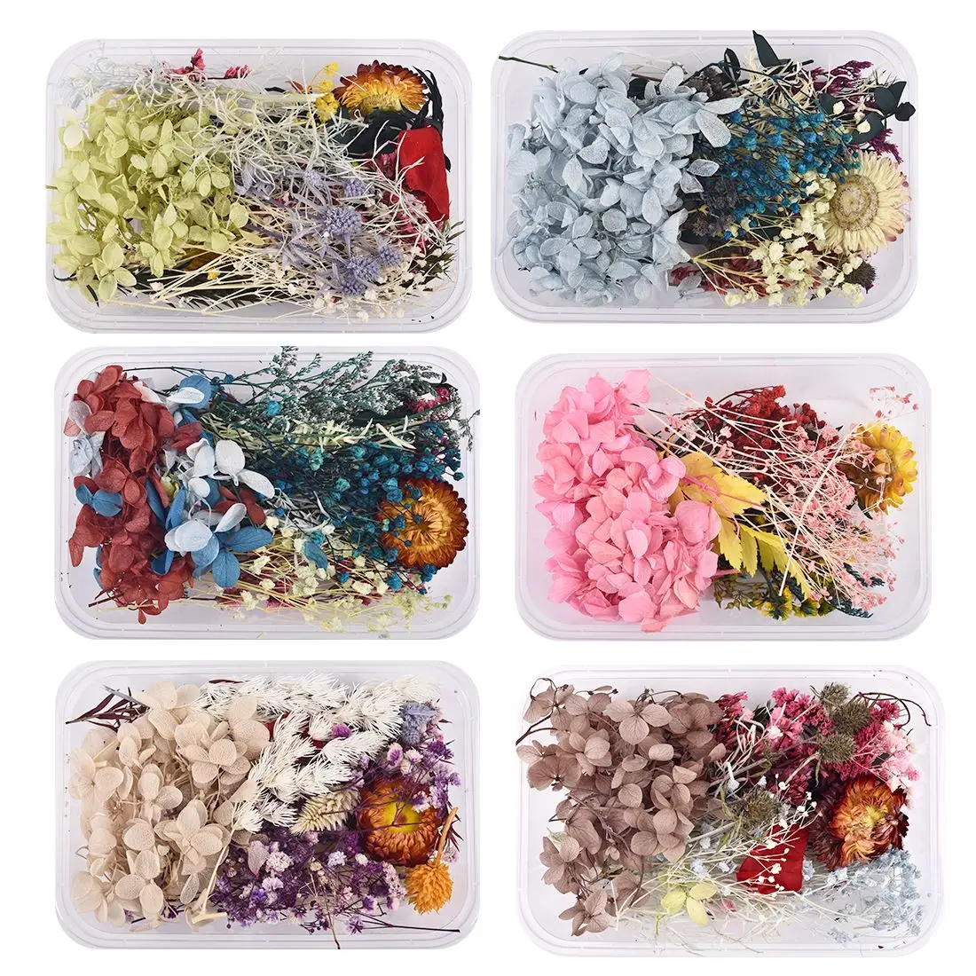 A box Aromatherapy Floating Flowers Dried Flowers Resin Jewelry Making Craft DIY Accessories Random Multicolor Mix Dry Flower