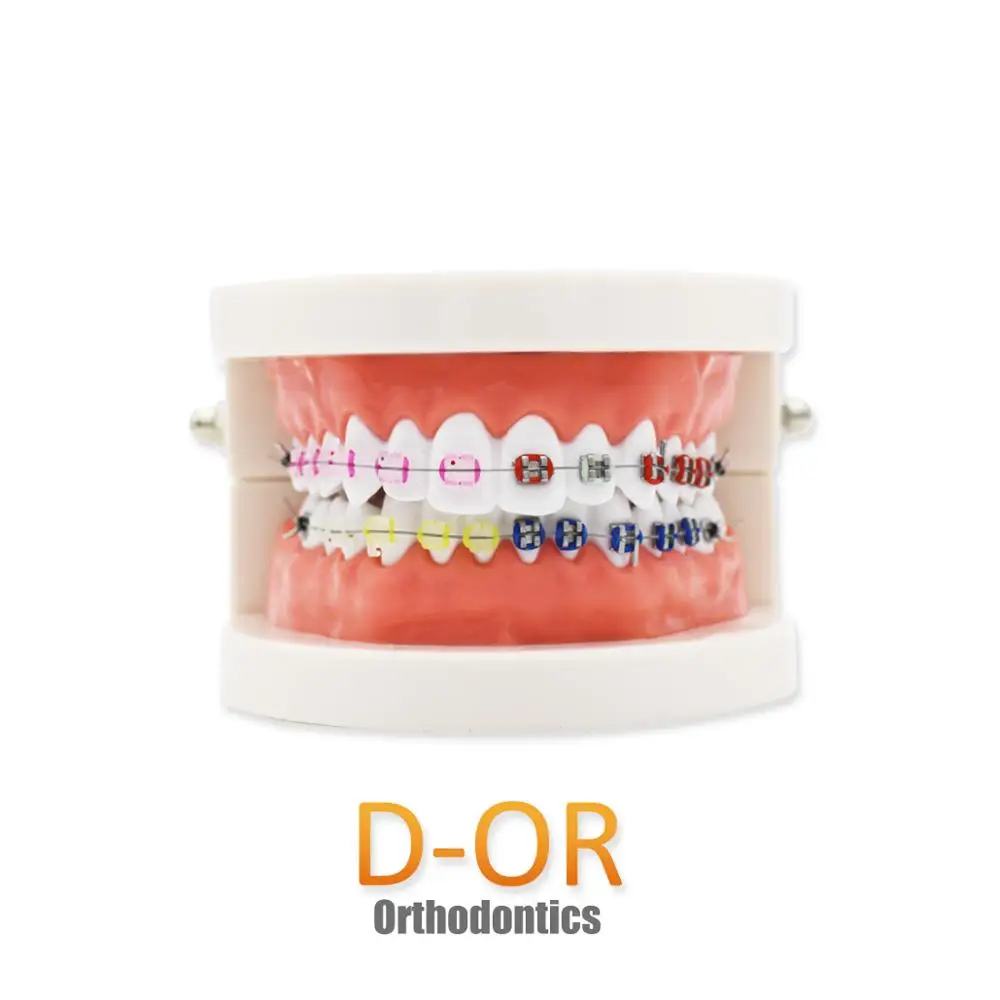 

D-OR Teeth Model Dentist student Model for Teaching Dentist Tools Dental Lab Model Caries 6 times tooth