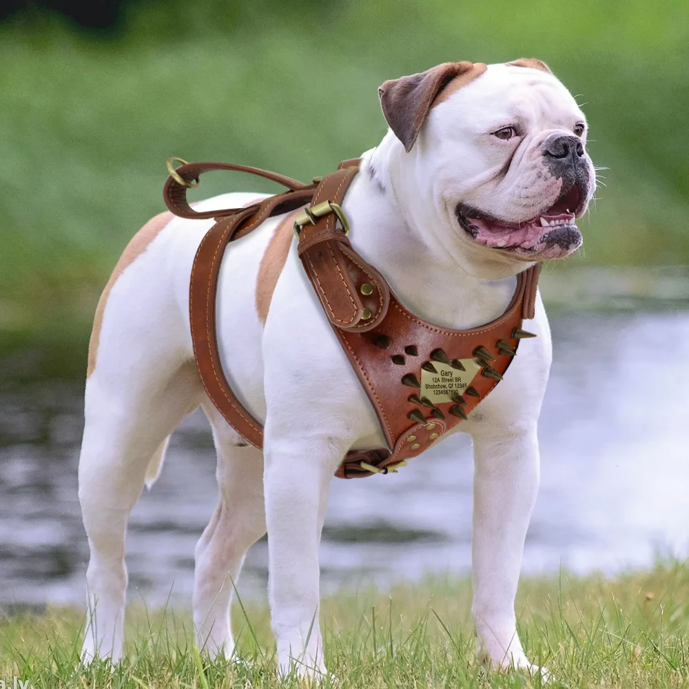 Durable Dog Harness Personalized Dogs Harness Vest For Medium Large Dogs Training Show Party With Anti-lost Tag Nameplate Handle