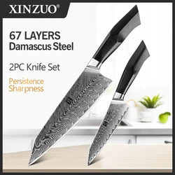 XINZUO Pro 2PCS Kitchen Knives Set High Carbon Damascus Steel Vegetable Meat Fruit Knife with Exquisite Gift Box Packaging New