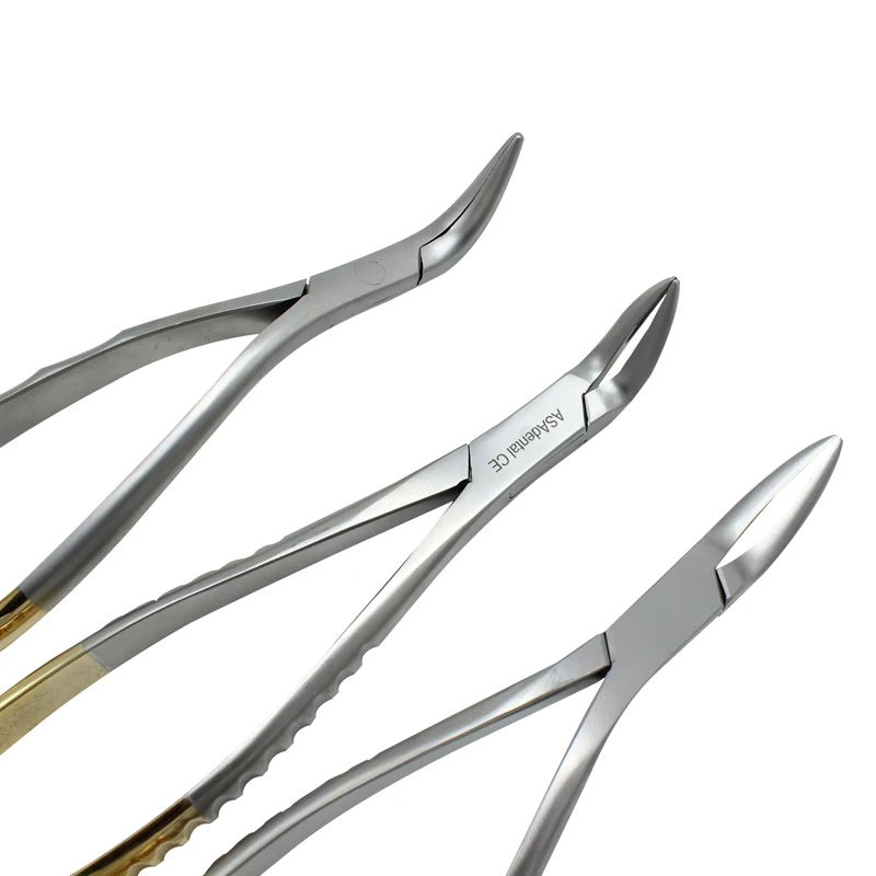 Dental Root Fragment Minimally Invasive Tooth Extraction Forcep Tooth Pliers Dental Instrument Curved Maxillary Mandibular Teeth