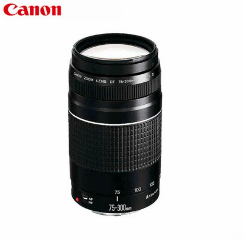 Canon 75-300 lens EF 75-300mm F/4-5.6 III Telephoto Lenses for Canon 550D 600D 700D 750D 760D 1300D 60D 70D 80D  6D T6 T3i T5i