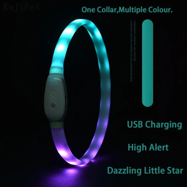 Obroża LED Light USB przebarwienia świecąca obroża Perro Luz ledowa obroża dla psa miga akumulator świecący kołnierz dla psa