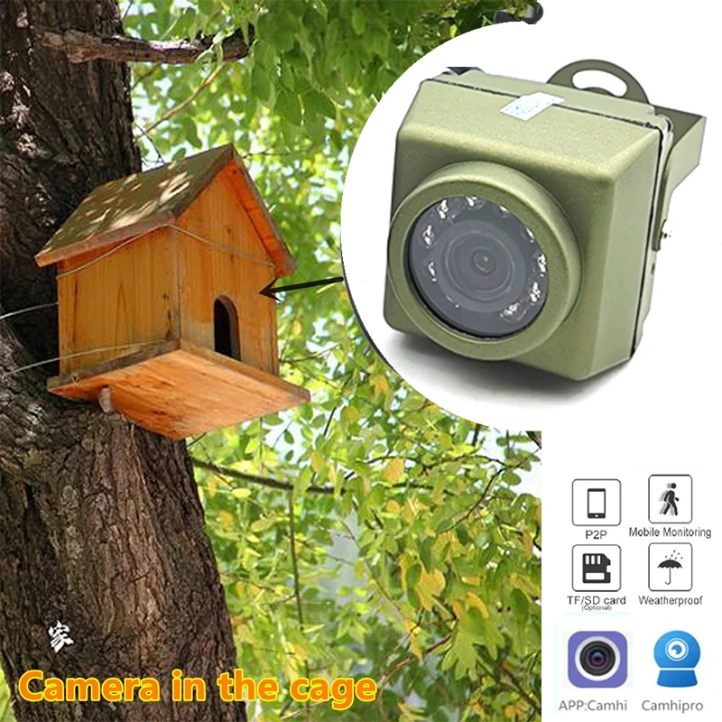 Small Outdoor Mini IR IP POE Cameras Night Vision IPC Wide Angle Audio Video Security Camera Surveillance P2P On vif Bird Cage