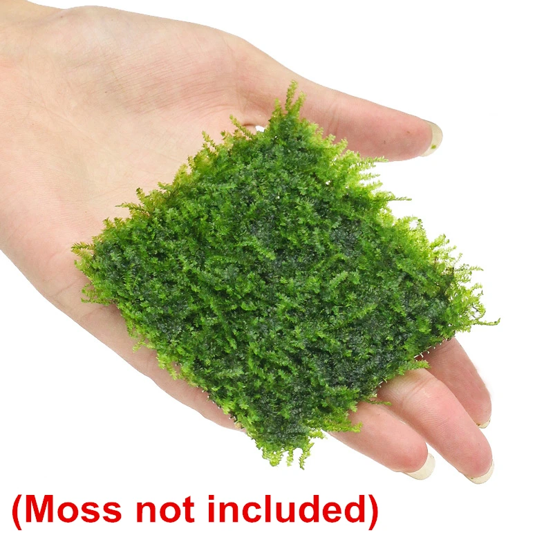 Stainless Steel Fish Tank Wire Mesh Pad Decoration Aquarium Water Plants Moss Mesh Lawn Decor