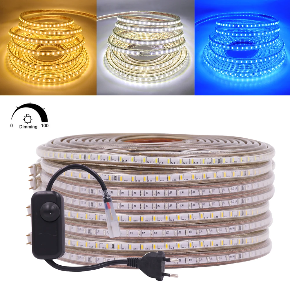 

AC220V LED Strip Light Waterproof Dimmable White Warm White Blue Flexible LED Tape SMD 3014 120Leds/m Rope Lamp with Dimmer