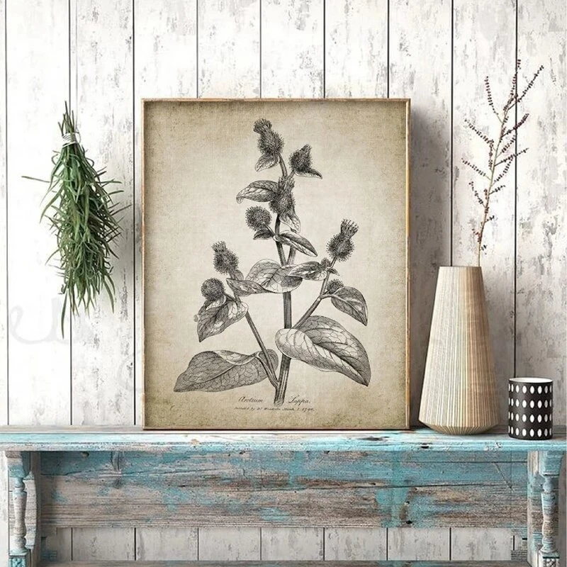 Antique Botanical Vintage Posters and Prints Wall Pictures Plants Retro Wall Art Canvas Painting Home Room Wall Decoration