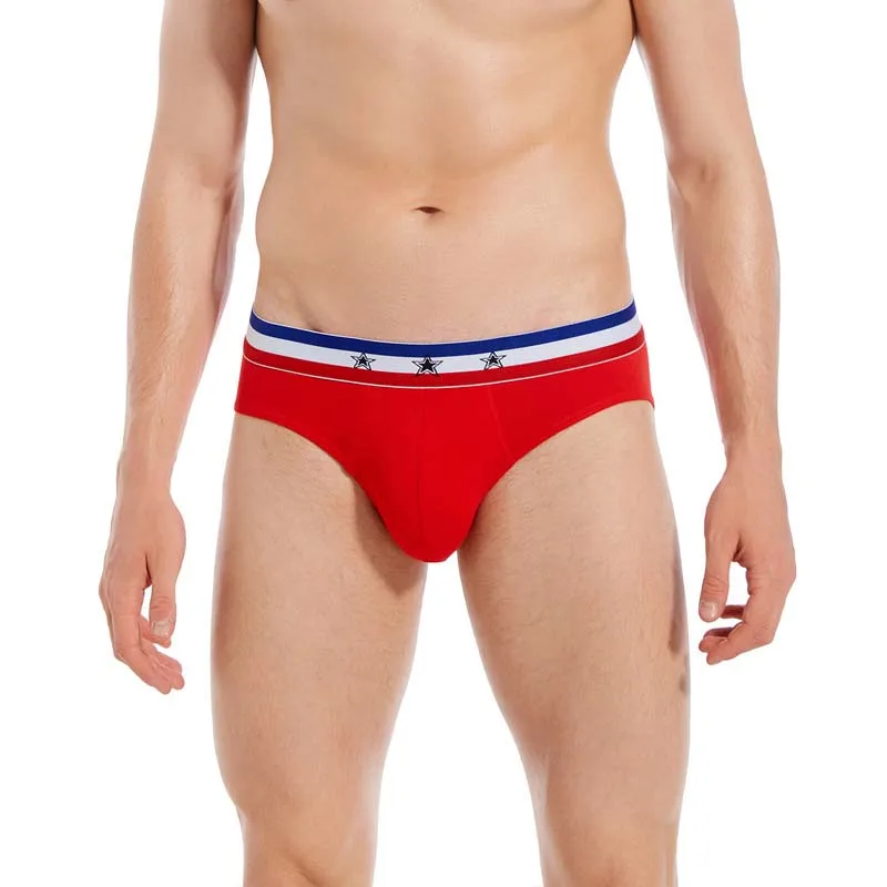 Men Underwear Bikini Sexy Fashion Men's Briefs Cotton Comfortable Breathable U Convex Male Panties Sexy Male Underpants