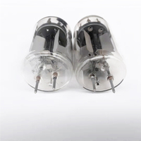 Sunbuck Vacuum tube FM30 FU19 FU29 FU32 brand new electronic Tube Used for vacuum Tube Amplifier