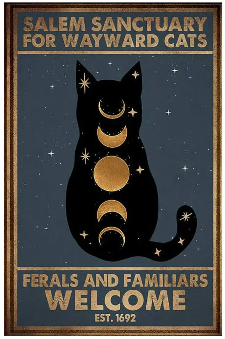 Eeypy Salem Sanctuary for Wayward Cats Ferals and Familiars Cat Poster Tin Sign Iron Painting Home Family Lovers Gift Funny