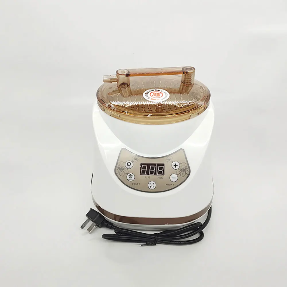 L2.5L Fumigation Instrument Sauna Steamer Multi-function Health Care Household Steamer Therapy Fumigation Machine