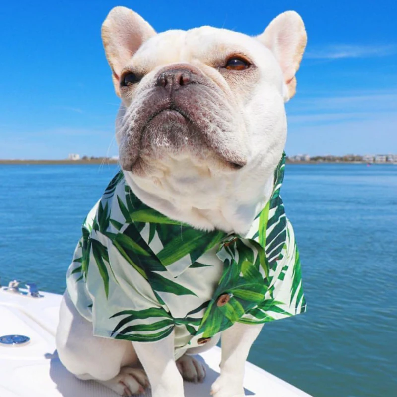 SUPREPET Graffiti Dog Button Shirt Dog Summer Clothes for French Bulldog Breathable Pets Dog Shirts Classic Cat Puppy Shirt