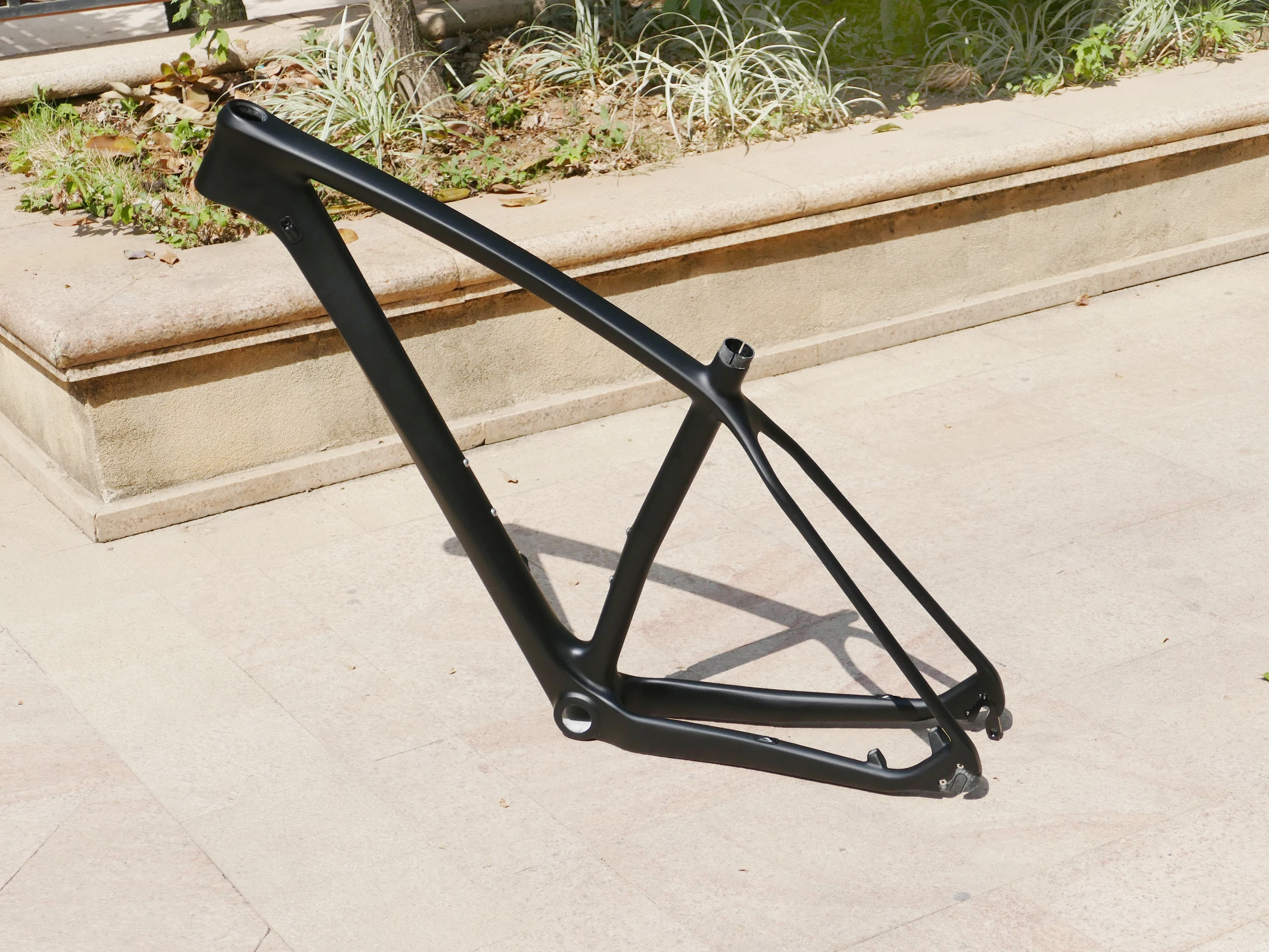 High Quality Toray Carbon Frame Full Carbon MTB 29