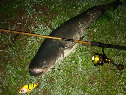 Hunhouse Salmo Slider Jerkbait – Señuelo para lucio - imagen 5