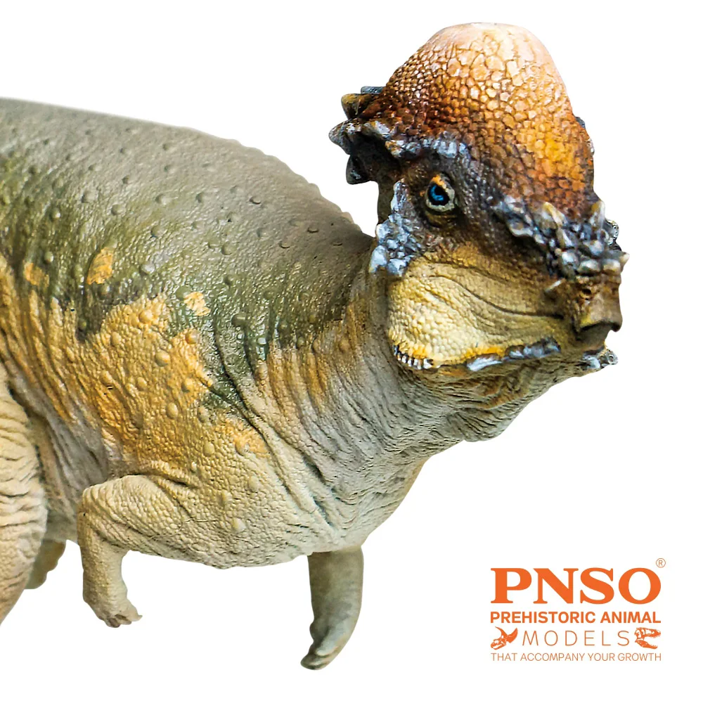 PNSO Prehistoric Dinosaur Models:46 Austin The Pachycephalosaurus