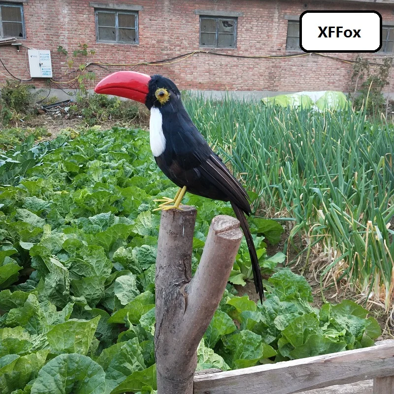 creative simulation red mouth Toucan model polyethylene&furs black Toucan bird gift about 35cm xf2450