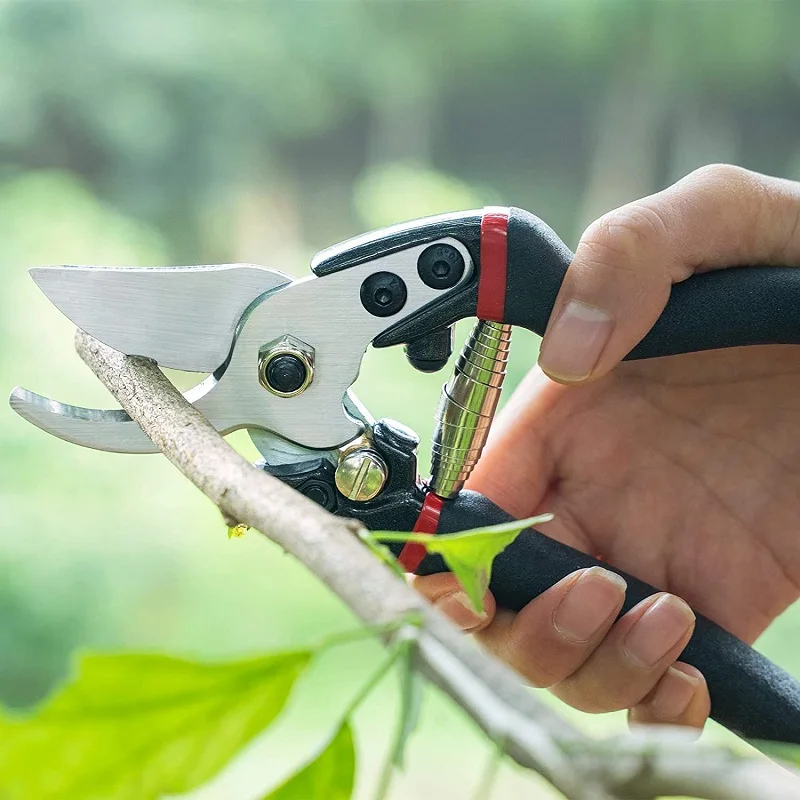 Garden Pruning Shears, Garden Clippers Plant Scissors Professional Bypass Pruner Tree Branch Cutter Plant Trimming Scissors 3PCS