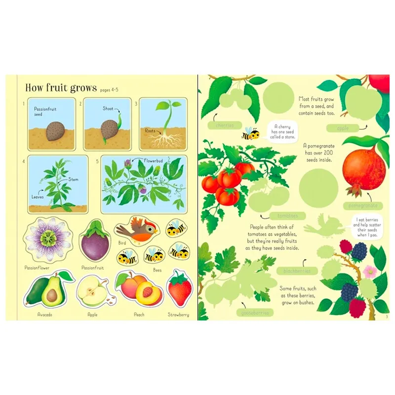 Usborne primeiro adesivo livros frutas e legumes