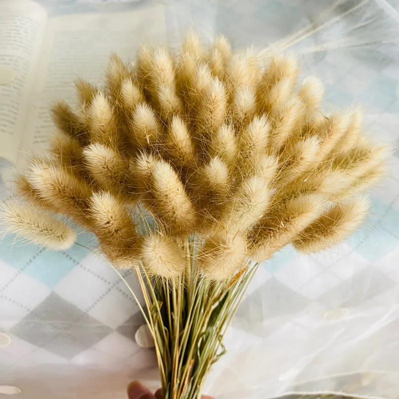 

50Pcs/lot Easter Decorations Rabbit Tail Grass Real Flower Wedding Home Decor Bunch Colorful Real Flower Dried Bouquet