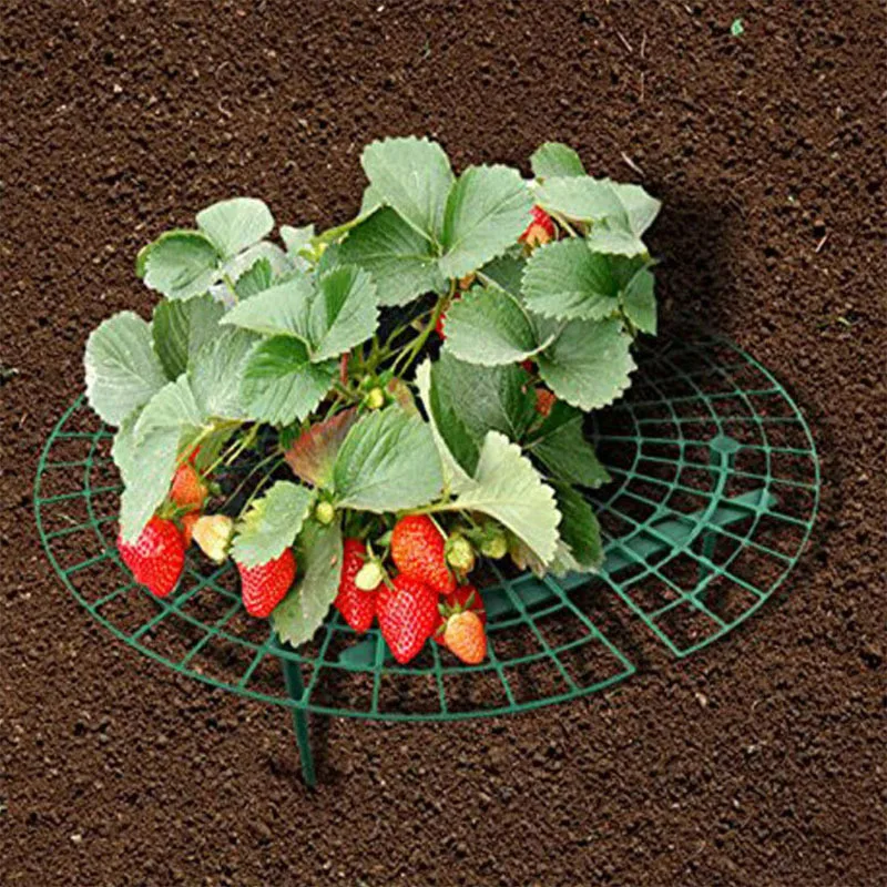 1 Pcs Round Plastic Strawberry Stand Balcony Grow Vegetables Fruit Climbing Pillar Gardening Bracket Plant Cages & Supports