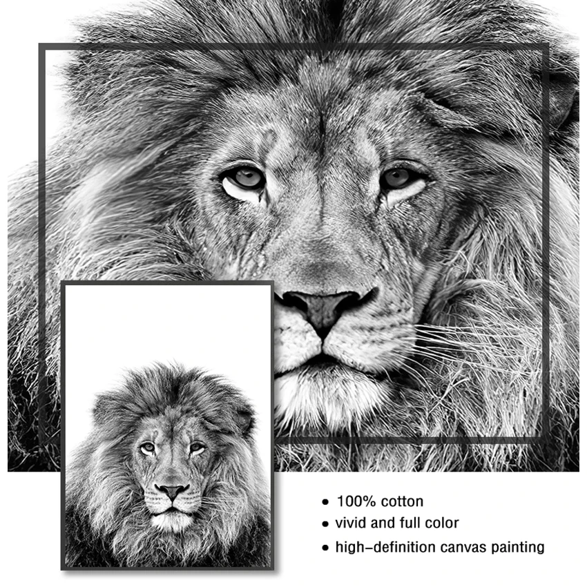 Black and White Pictures Kids Room Decoration Animals Print Lion Zebra Elephant Wall Art Poster Safari Nursery Canvas Painting