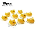 10 piezas de conejo marino amarillo