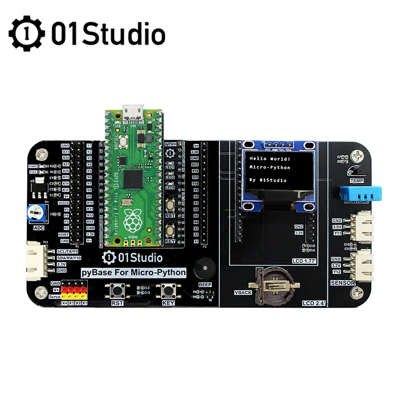 01Studio-Carte de microcontrôleur Raspberry Pi Pico Tourists, Core ARM, haute performance, à faible coût, avec interfaces numériques flexibles