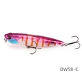 DW58-C