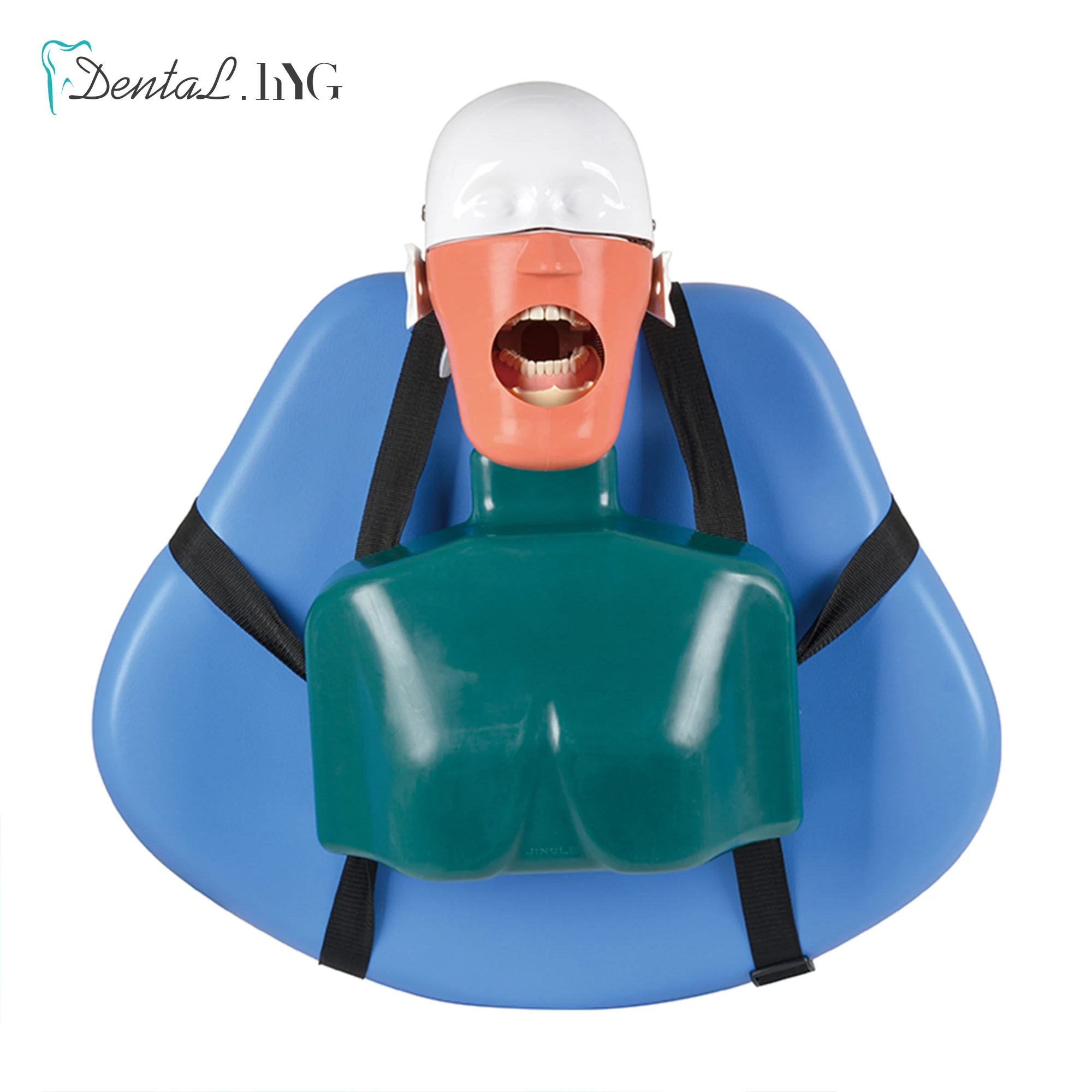 

Dental Simulator Manikin Phantom Head Dental Phantom Head Model With New Style Bench Mount For Dentist Education