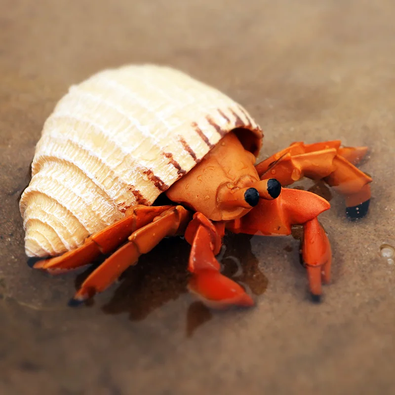 Oenux Ocean Animals Simulation Hermit Crab Sea Life Animal Model Figurines Crab Action Figures Collection Toys For Kids Gift